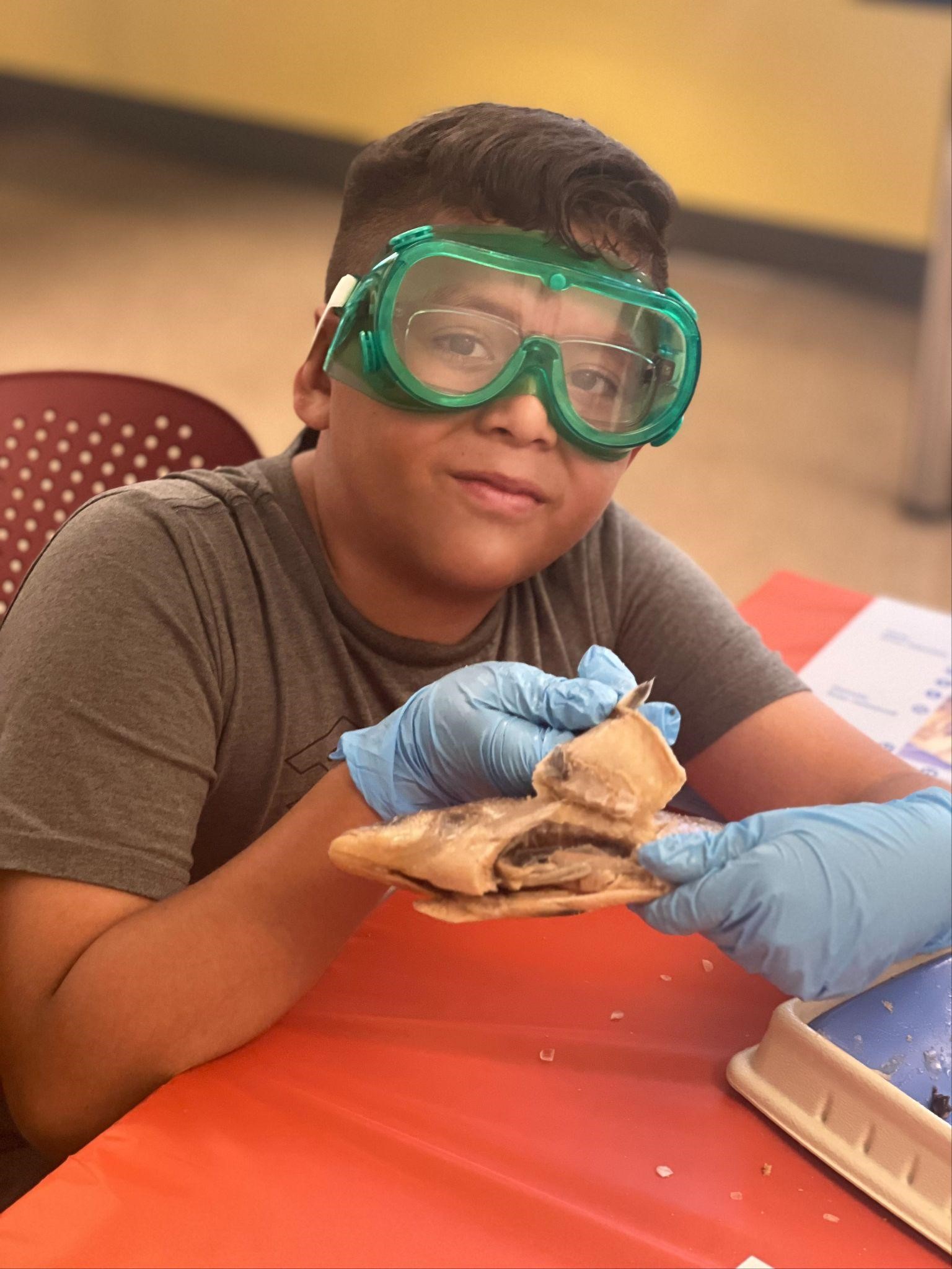 A student presents the inside of the perch after making shallow cuts to keep the internal organs intact