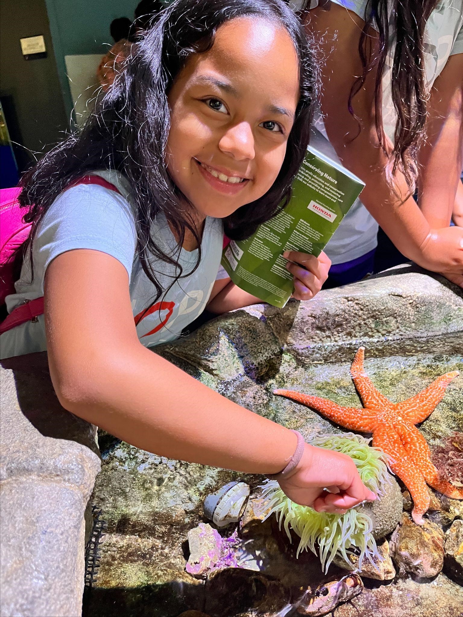 A student uses two fingers to touch a sea anemone